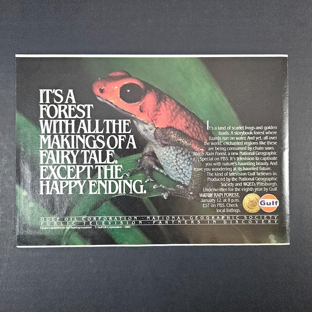 1983 Gulf Oil PBS National Geographic‎ Rain Forest Show Vintage Print Ad Frog